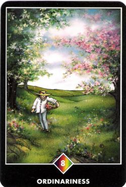Costumeiro (Oito de Ouros) no Osho Tarot de Ma Deva Padma