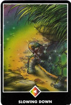 Lentido (Cavaleiro de Ouros) no Osho Tarot de Ma Deva Padma