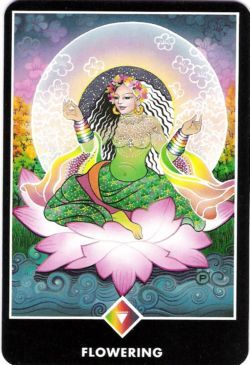 Florescimento (Rainha de Ouros) no Osho Tarot de Ma Deva Padma