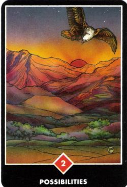 Possibilidades (Dois de Paus) no Osho Tarot de Ma Deva Padma