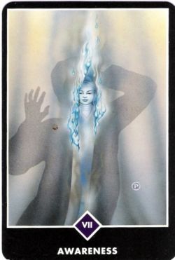 7. Estar ciente (O Carro) no Osho Zen Tarot de Ma Deva Padma