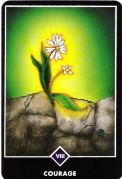 8. Coragem (A Justia) no Osho Zen Tarot de Ma Deva Padma