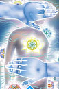 O Rei de Copas no Osho Tarot