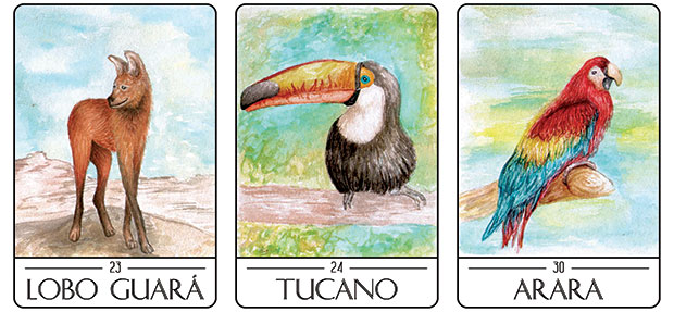 Lobo Guará, Tucano e Arara no Tarot dos Animais Sul-Americanos