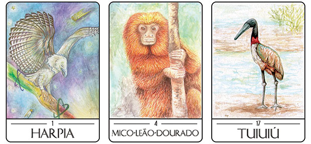Tarot dos Animais Sul-Americanos - Harpia - Mico Leo Dourado - Tuiuiu