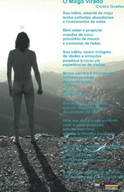 O Mago Virado