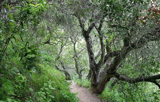 Caminhos