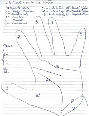 Linhas da mão esquerda e os arcanos do tar