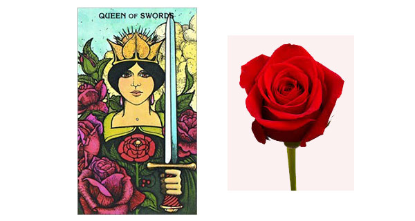 Simbolismo da rosa  no Morgan Greer tarot