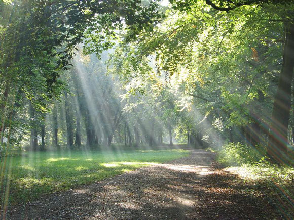 O caminho do Sol