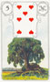 Árvore no Baralho Lenormand - Baralho Cigano (Sete de Copas)