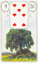 Árvore no Baralho Lenormand - Baralho Cigano (Sete de Copas)