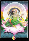 Rainha de Paus no Osho Tarot