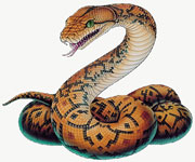 Serpente - Piton - símbolo do Inconsciente