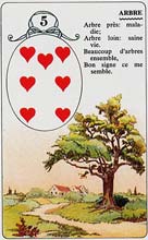 5. rvore no Petit Lenormand