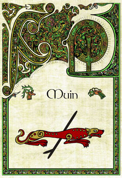 O Ogham Muin