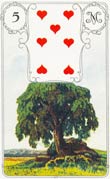 Cinco de Copas no  baralho Lenormand