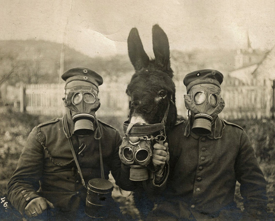Máscaras contra gases na Guerra de 1914-18