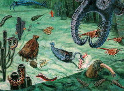Fauna aquática e exótica do cambrianoa