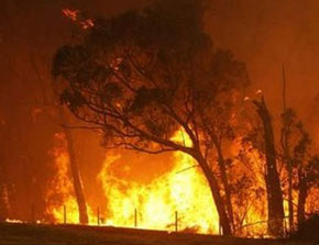 Incêndio na Austrália