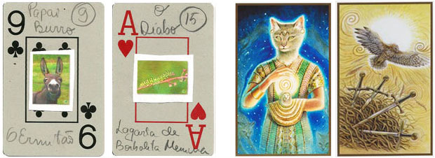 O Taro do Jogo do Bicho e cartas do Animals Divine Tarot de Lisa Hunt