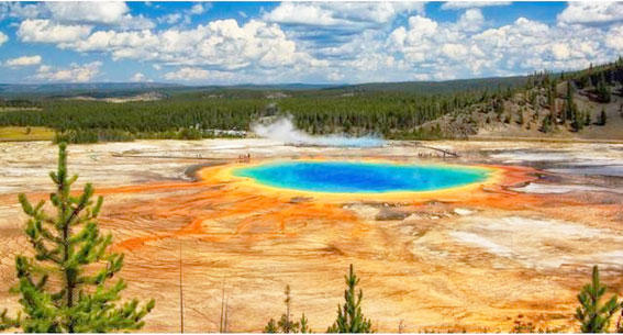 Yellowstone