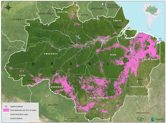 Torre de Babel - novembro.2022 - É um alívio - Mapa do desmatamento no Brasil
