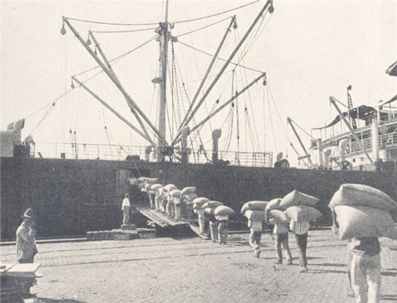 Embarque de café no porto de Santos  na década de 1910