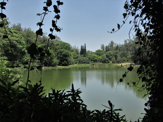 Lua Nova em Aquário - Parque da Aclimação em São Paulo