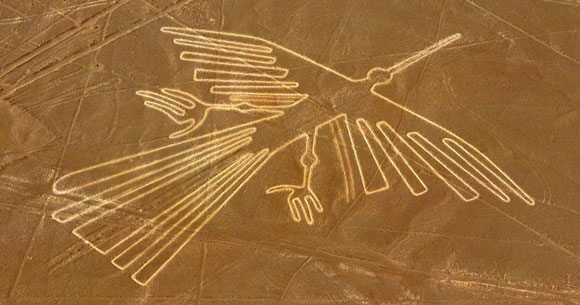 Os desenhos das aves de Nazca