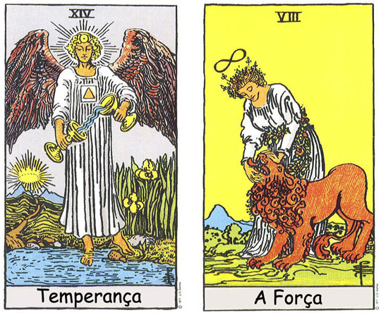 Brincando com o Tarot - A TEmperança e a Força