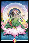 Rainha de Ouros no Osho Tarot